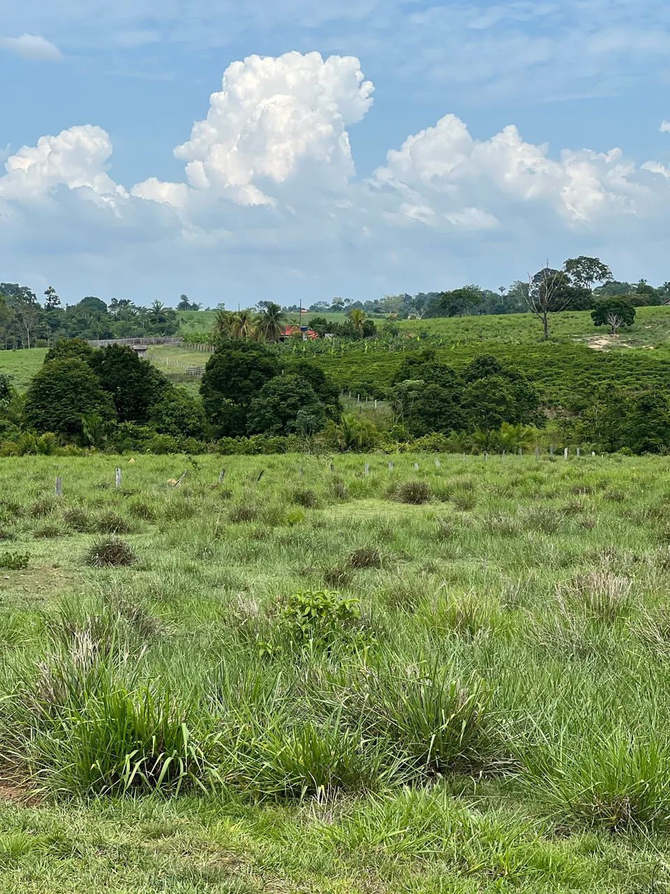 20 Alqueires A VENDA em Cacoal RO - Foto 8