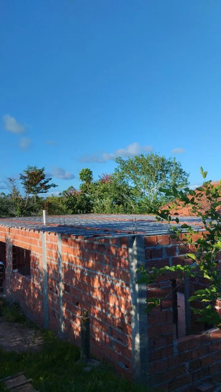 Pedreiro (Porangaba sp) - Foto 4