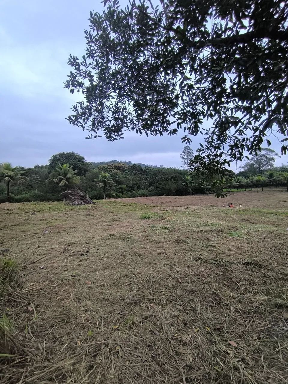 TERRENOS 10X30 TINGUÁ  - Foto 2