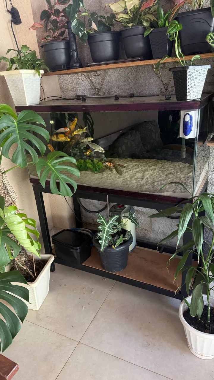 Aquário de 210 litro  - Foto 2
