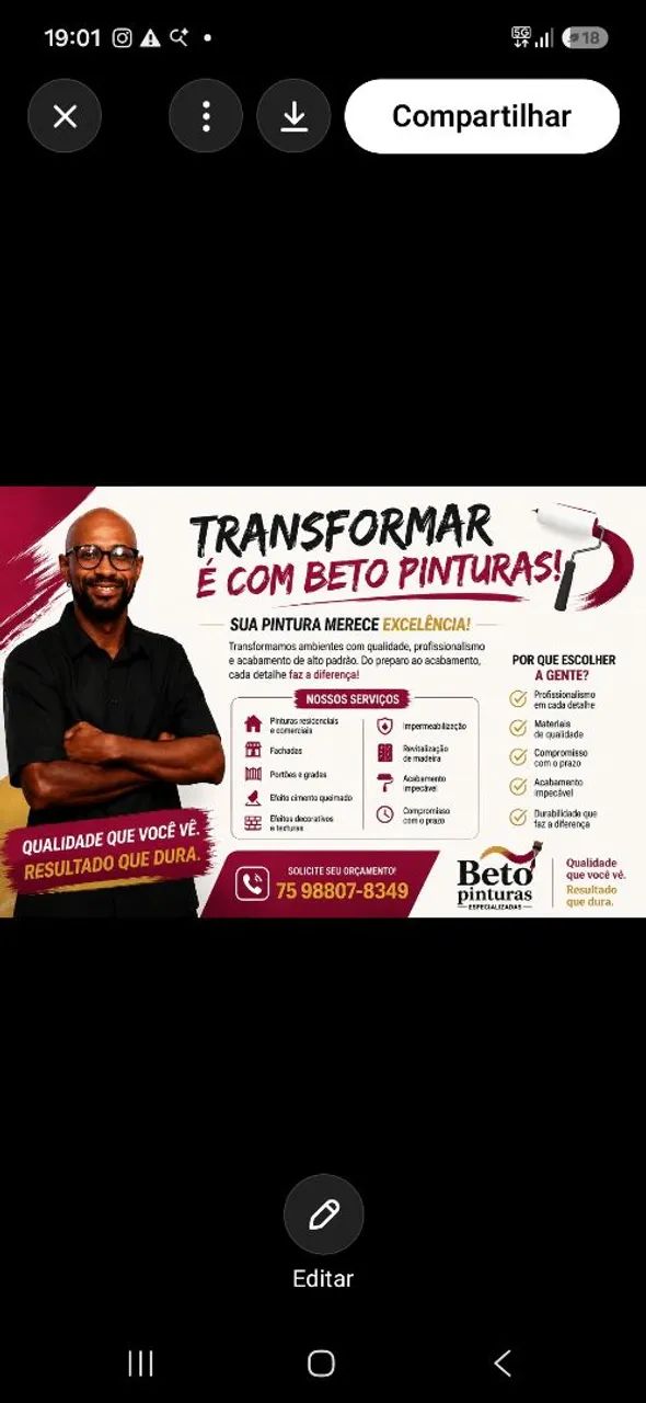 Pintor Profissional 