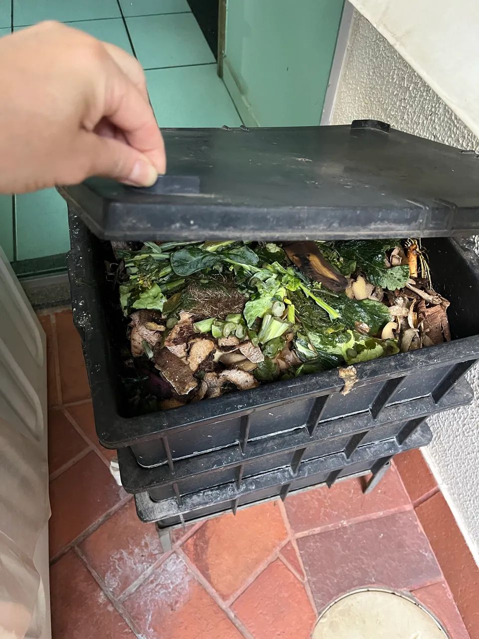 Composteira com minhocas - Foto 2