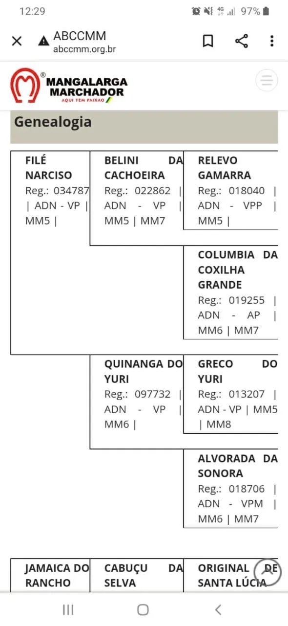 Egua  - Foto 3