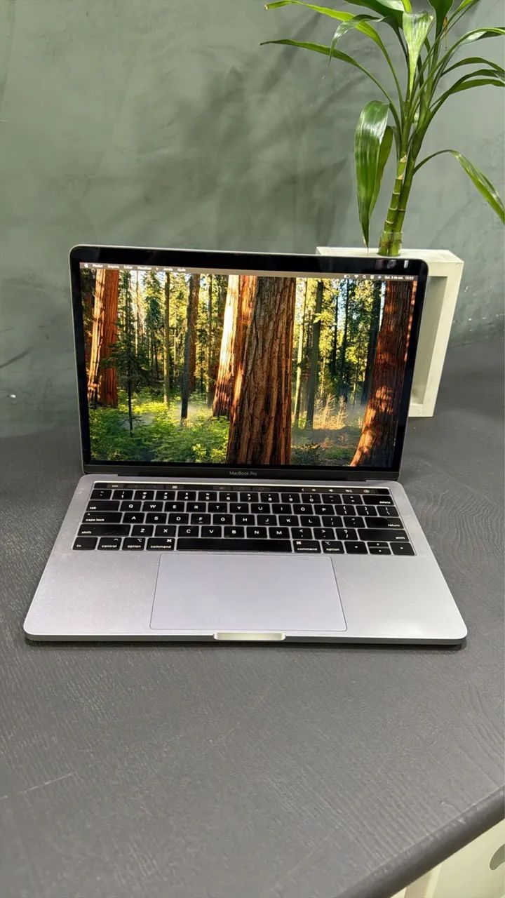 MacBook Pro 2018 13? ? Intel Core i7 | 16GB RAM | 512GB SSD