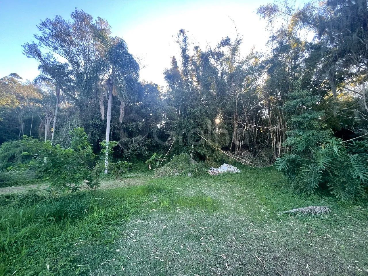 Terreno com 1.505,10m² em Ratones - Foto 4