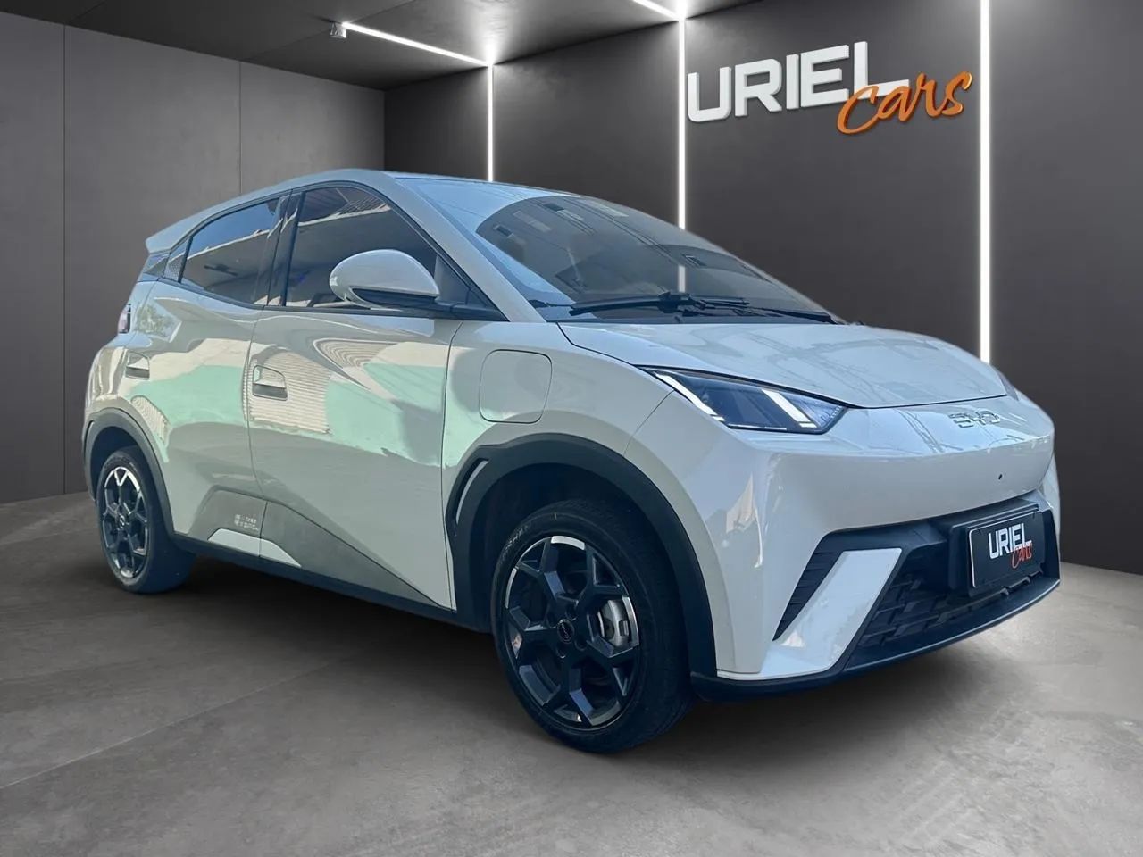 BYD Dolphin GS (Elétrico) 2026