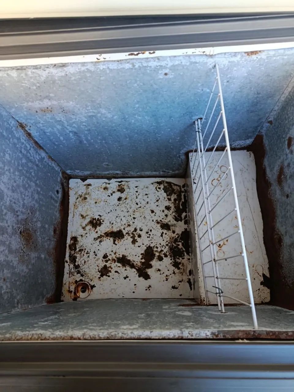 FREEZER  - Foto 5