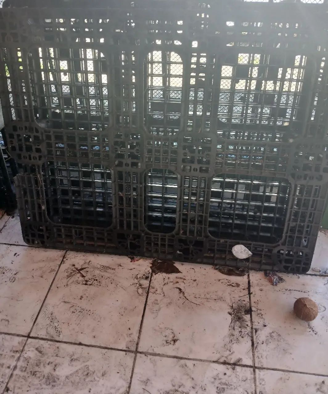 Palett's de plástico reforçado com 1,20x1000x15 - Foto 2