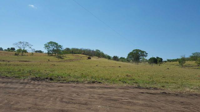 Fazenda com 20 alqueires no município de Inhumas. Excelente - Foto 2
