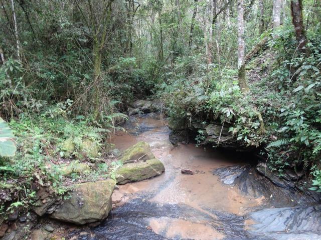 Alfredo Wagner , Serra Catarinense 8,0 hectares - Foto 2