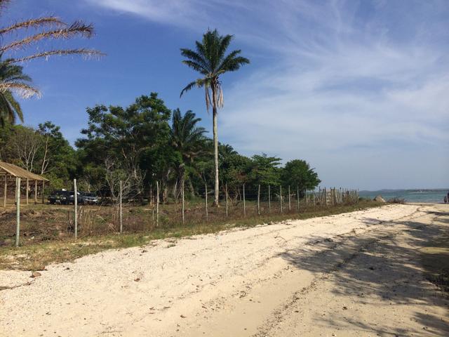 Área 100.000m2 Beira Mar na Bahia! Aceito imóveis em SP - Foto 13