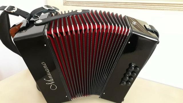 Acordeon 8 Baixos Minuano 8/21