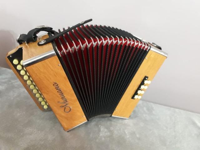 Acordeon 8 Baixos Minuano 8/21 - Foto 5