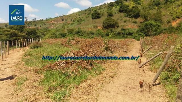 Chácara com 5.000 m² no Vila Ramos - Foto 9