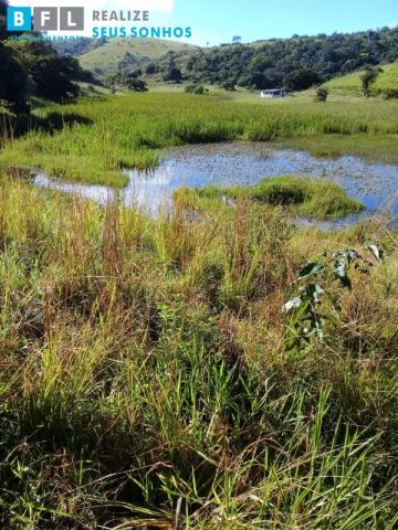 132 hectares em sairé - pe 20km de gravatá - Foto 13