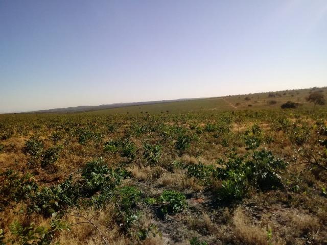 Fazenda com 1.940 hectares na estrada do manso ha 45 km de Cuiabá - Foto 17