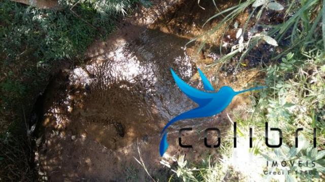 Linda área para lazer ou preservação em agudos do sul - pr - Foto 16