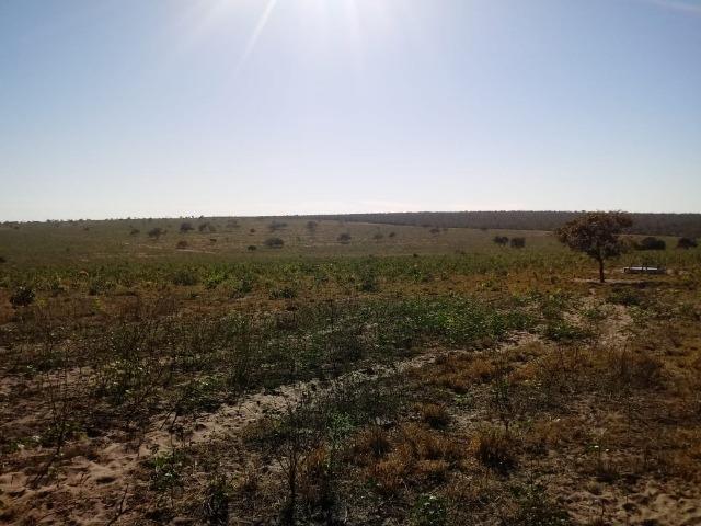 Fazenda com 1.940 hectares na estrada do manso ha 45 km de Cuiabá - Foto 3