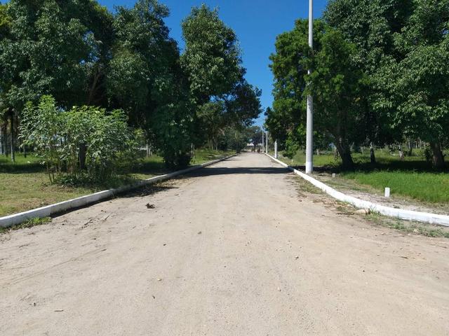 Jô - Residencial padrão - Foto 4