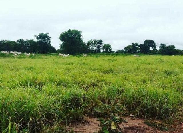 Fazenda Estilo pousada muito top em Livramento com piscina, muito pasto, represas e lago - Foto 7