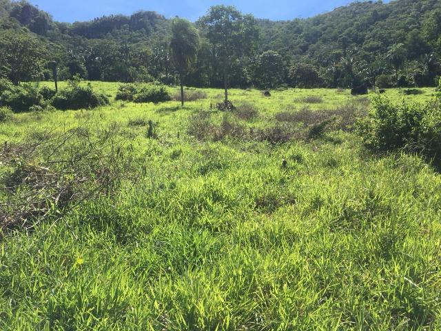 Fazenda em Cuiabá MT Ha 4 km da BR 364 Antes da Serra S. Vicente - Foto 10