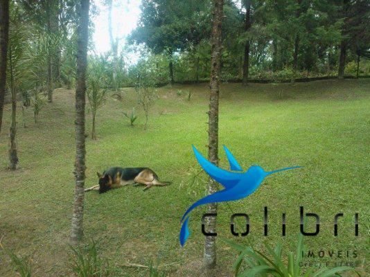 Chácara com sobrado triplex de 330 m2 em agudos do sul pr - Foto 5