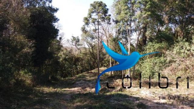 Terreno para formar chácara de lazer em agudos do sul - pr - Foto 11