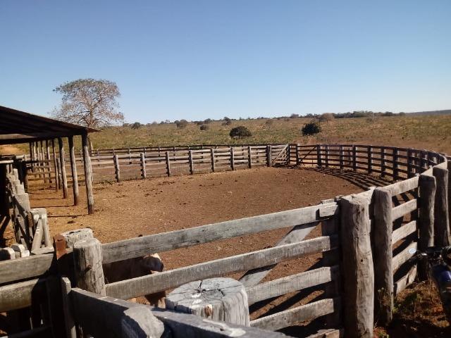 Fazenda com 1.940 hectares na estrada do manso ha 45 km de Cuiabá - Foto 4