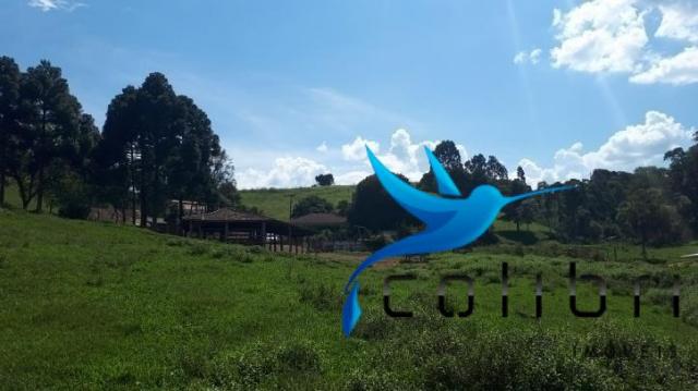 Sítio de porteira fechada em agudos do sul - pr - Foto 8