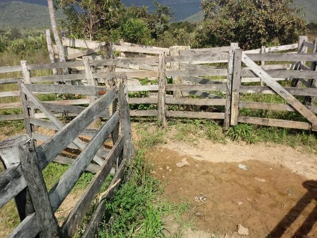 Fazenda com 784 hectares em Rosário Oeste MT - Foto 10