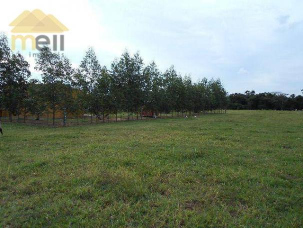 Sítio com 1 dormitório à venda, 96800 m² por R$ 590.000,00 - Zona Rural - Martinópolis/SP - Foto 18