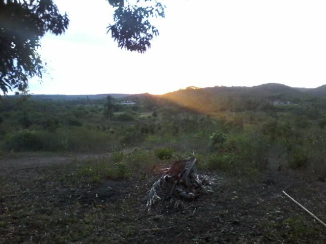 Vendo fazenda em Araçás ba
