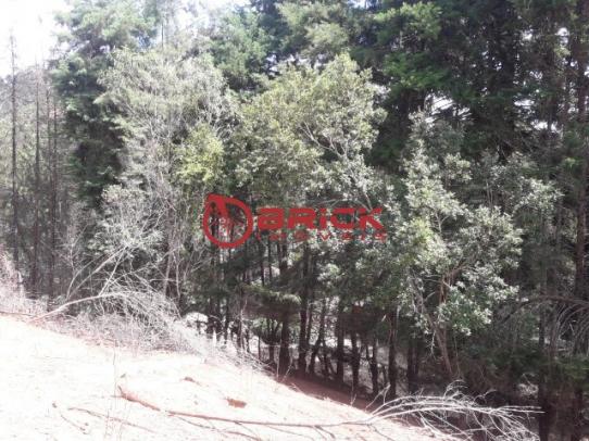 Terreno com 2700 m² com potencial para ser um condomínio em albuquerque, teresópolis/rj. - Foto 7