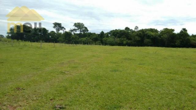 Sítio com 1 dormitório à venda, 96800 m² por R$ 590.000,00 - Zona Rural - Martinópolis/SP - Foto 13