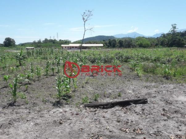 Terreno com 10 mil m² em várzea alegre- guapimirim. - Foto 16