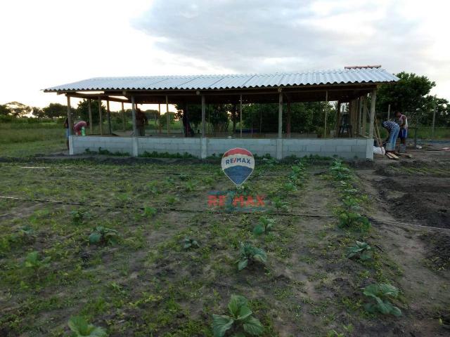 Re/max chave de ouro vende rancho produtivo com casa com 3 dormitórios à venda, 270 m² por - Foto 11