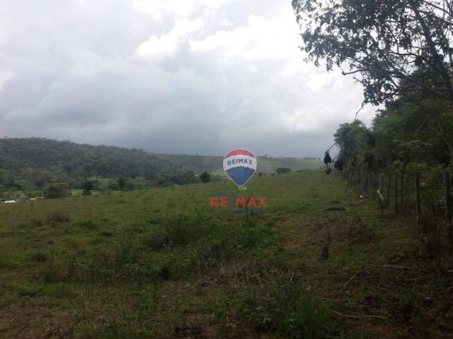 Re/max chave de ouro vende fazendas nas margens do rio buranhém - Foto 9