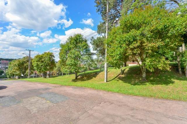 Terreno à venda em Uberaba, Curitiba cod:146250 - Foto 8