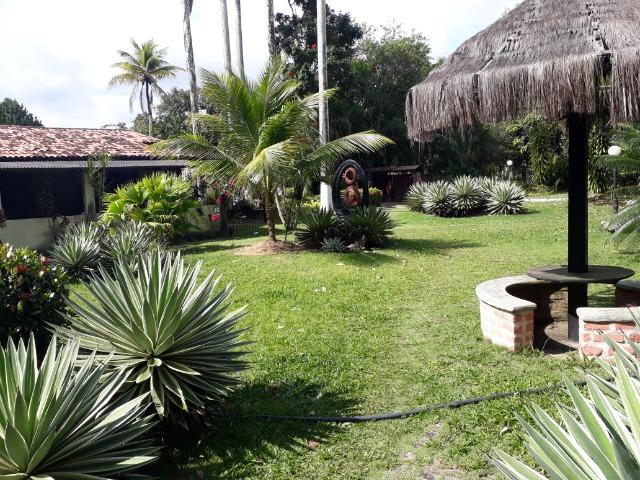 Chácara - Foto 4