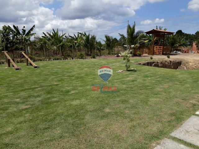 Re/max chave de ouro vende rancho produtivo com casa com 3 dormitórios à venda, 270 m² por - Foto 3
