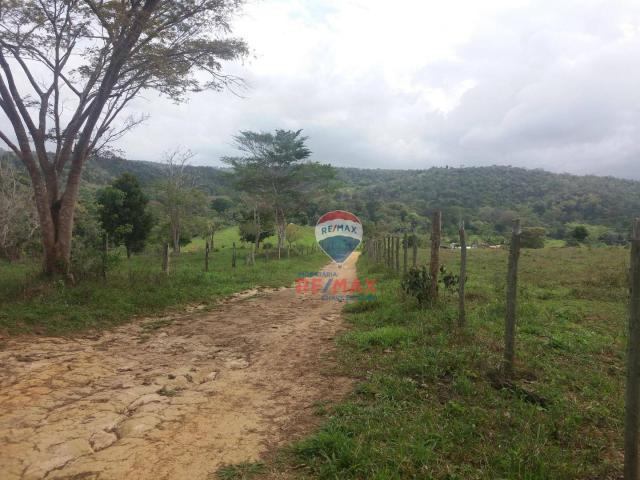 Re/max chave de ouro vende fazendas nas margens do rio buranhém - Foto 10