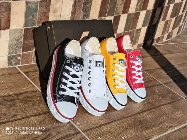 all star adulto branco