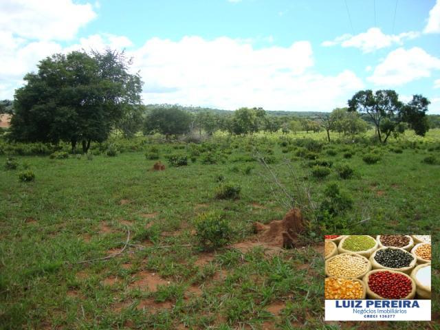 FAZENDA A VENDA de 100 HECTARES EM TERENOS - MS - (Pecuária) - Foto 17