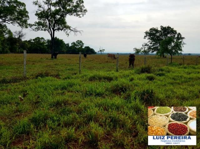 FAZENDA A VENDA DE 5.159 hECTARES EM BONITO - MS (Dupla aptidão) - Foto 9