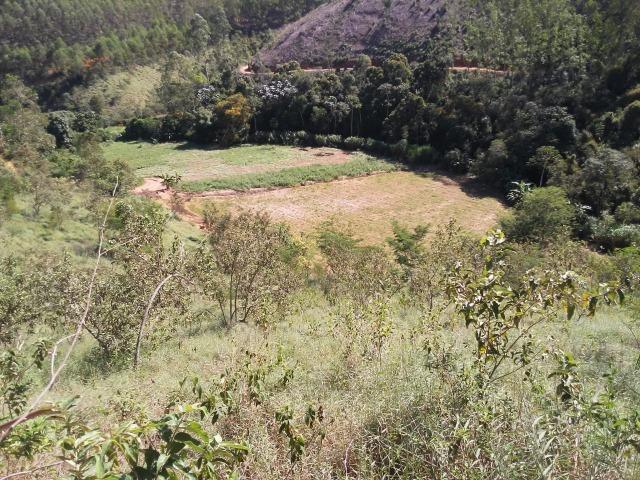 Domingo martins - Foto 3