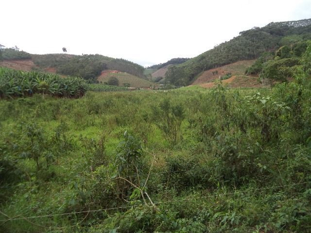 Domingo martins - Foto 6