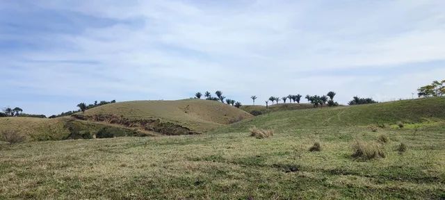 área rural com cerca de 4 alqueires ( 191.500 m2) - Foto 5