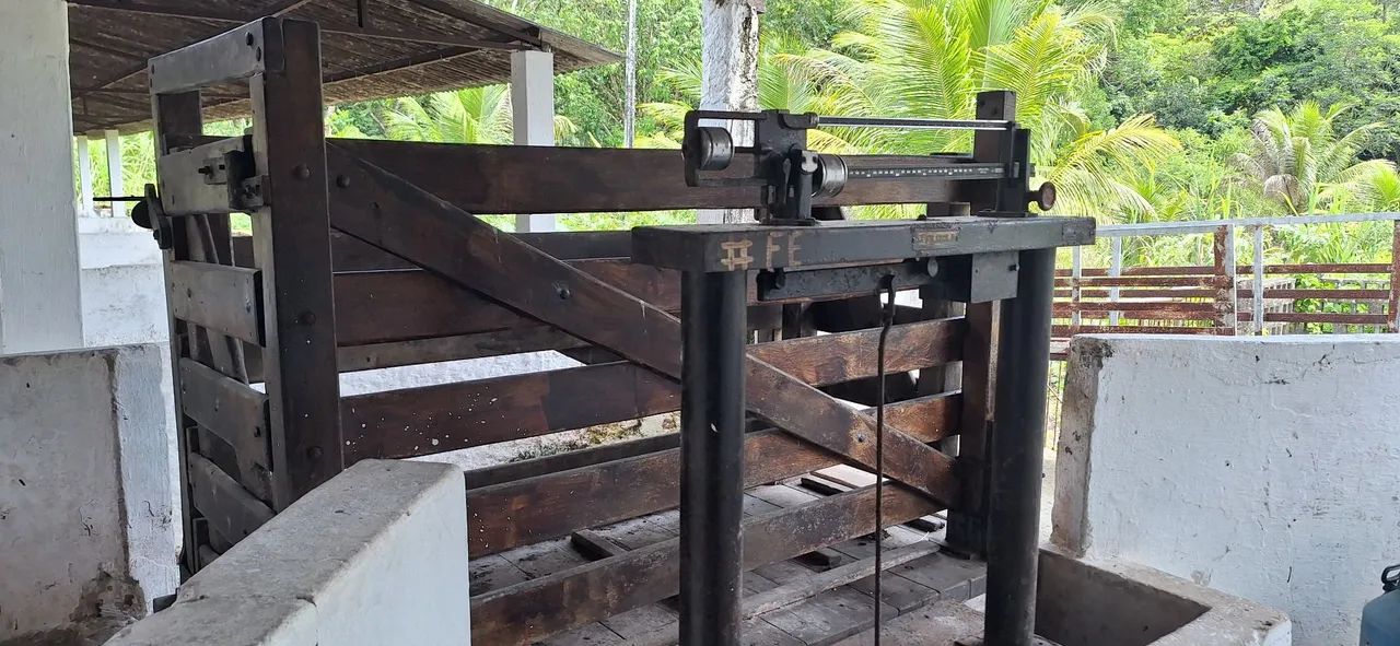 Balança Filizola  - Foto 4