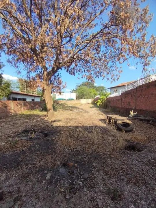 Terreno para alugar no Cristo Rei - Foto 3