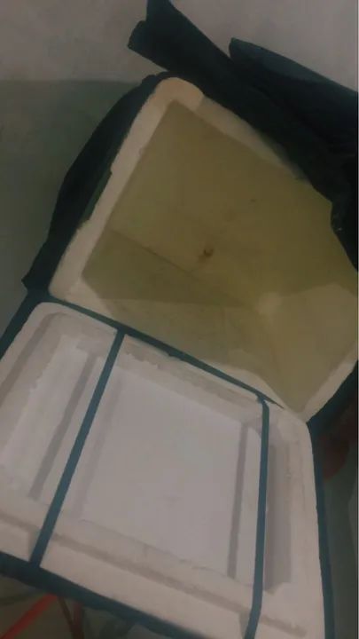 BagTérmica para Entregas - Foto 2